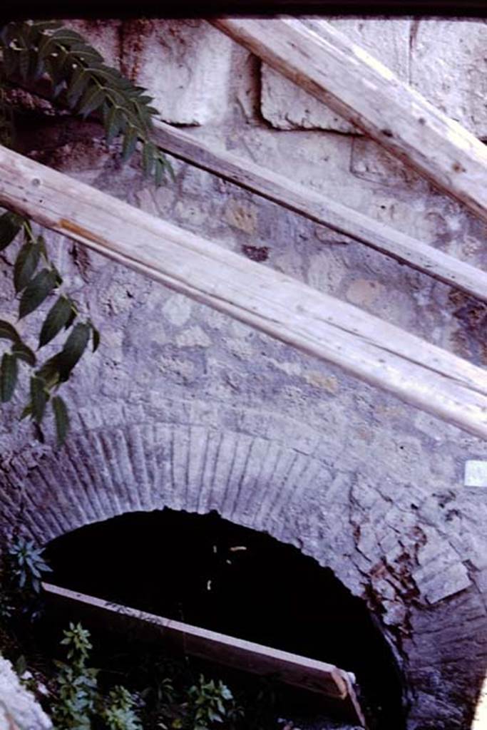 VI.17.41/42 Pompeii. 1980. Vaulted room at rear. Photo by Stanley A. Jashemski.
Source: The Wilhelmina and Stanley A. Jashemski archive in the University of Maryland Library, Special Collections (See collection page) and made available under the Creative Commons Attribution-Non Commercial License v.4. See Licence and use details. J80f0214