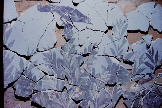 VI.17.42 Pompeii. Oecus 32. Part of Garden fresco from north wall. Inventory number 40690. Photograph courtesy of Stefano Bolognini (Own work) via Wikimedia Commons.