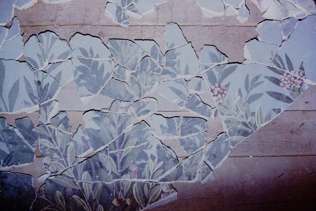 VI.17.42 Pompeii. Oecus 32, part of Garden fresco from north wall. Inventory number 40690. See Jashemski, W. F., 1993. The Gardens of Pompeii, Volume II: Appendices. New York: Caratzas. (p.348, T: 406, Fig. 2).