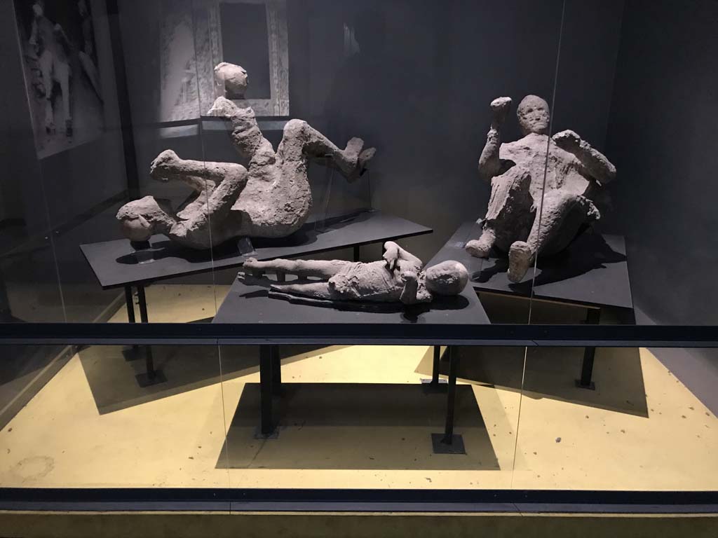 VI.17.42 Pompeii. April 2019. Plaster casts of family from lower area of House of the Golden Bracelet.
On display in Antiquarium. Photo courtesy of Rick Bauer.
