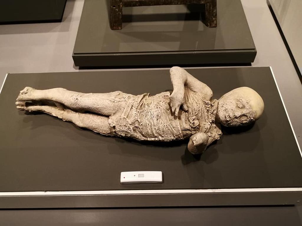 VI.17.42 Pompeii. 2019. Plaster cast of child found with other victims/family.
On display in exhibition “Pompei e Santorini” in Rome, 2019. Photo courtesy of Giuseppe Ciaramella.