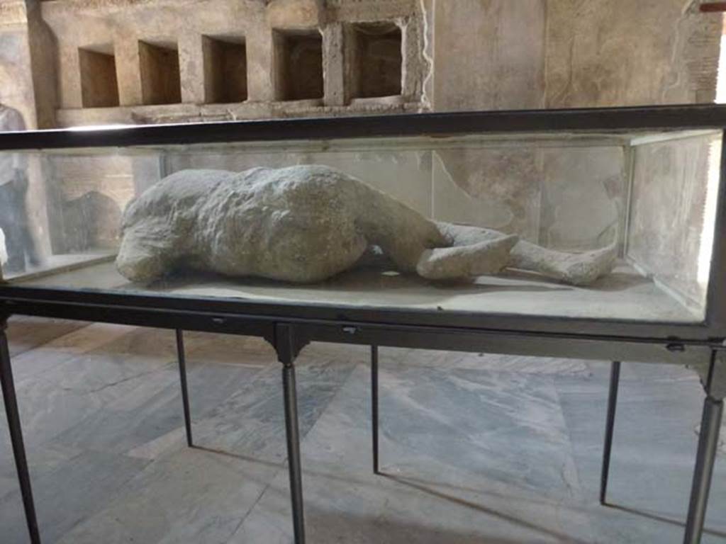 VII.1.8 Pompeii. June 2012. Rear of plaster cast of body, on display in men’s changing room 2.
Found 25th September 1873 in garden area of I.5.3. Photo courtesy of Michael Binns.