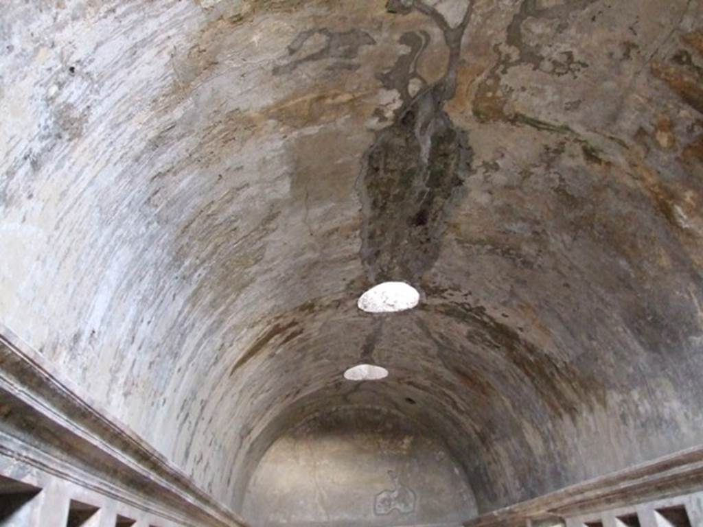 VII.1.8 Pompeii. December 2007. Roof of women�s changing room 11. 