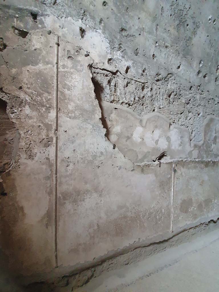 VII.1.8 Pompeii. July 2021. Tepidarium 10, detail from upper north wall.
Foto Annette Haug, ERC Grant 681269 DÉCOR