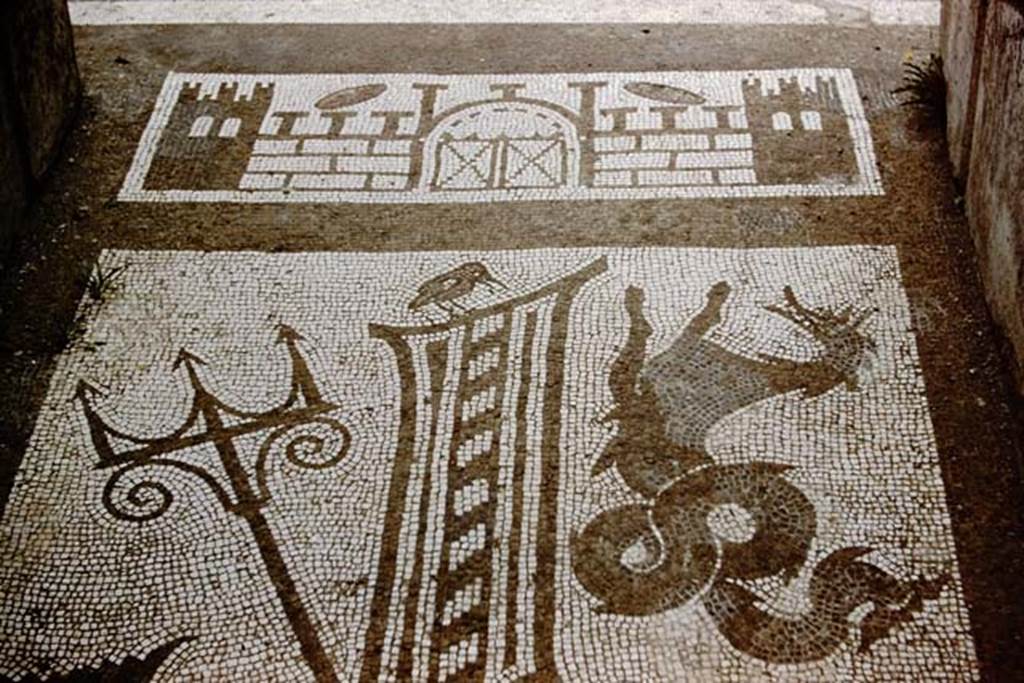 VII.1.40 Pompeii.1959. Mosaic in entrance corridor near atrium. Photo by Stanley A. Jashemski.
Source: The Wilhelmina and Stanley A. Jashemski archive in the University of Maryland Library, Special Collections (See collection page) and made available under the Creative Commons Attribution-Non Commercial License v.4. See Licence and use details.
J59f0400
