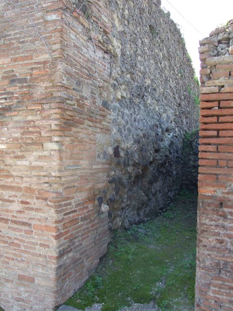 VII.2.8 Pompeii. March 2009. Looking west.