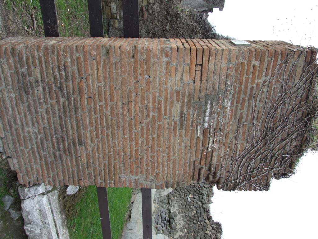 VII.2.11 Pompeii. Officina tintoria di Ubonius. December 2007. South wall of wide vestibule.