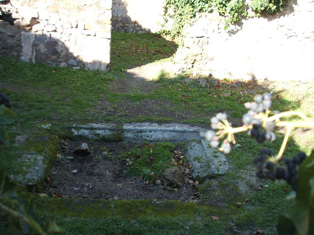 VII.2.14 Pompeii. March 2009. Tablinum. South wall.