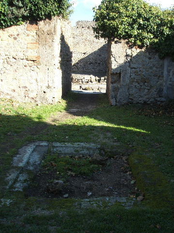 VII.2.14 Pompeii. March 2009. Remains of mosaic floor in tablinum