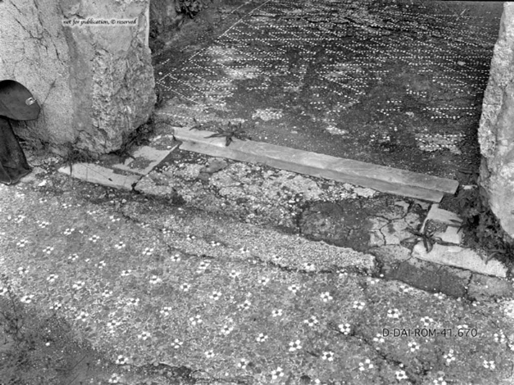 VII.2.16 Pompeii.  March 2009.  Room 6.  Remains of wall plaster on north side.
