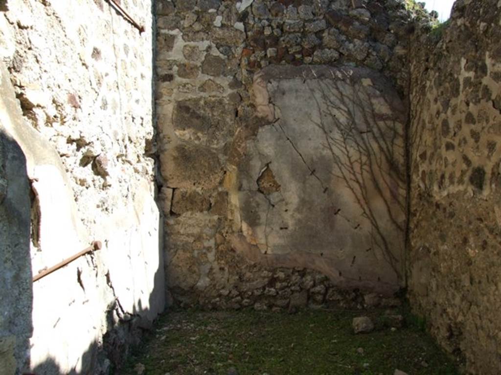 VII.2.16 Pompeii.  March 2009.  Room 7. Doorway and floor of east portico, with remains of mosaic floor.