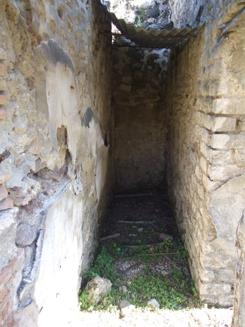 VII.2.16 Pompeii.  March 2009.  Room 8.  Oecus.  Looking north east.