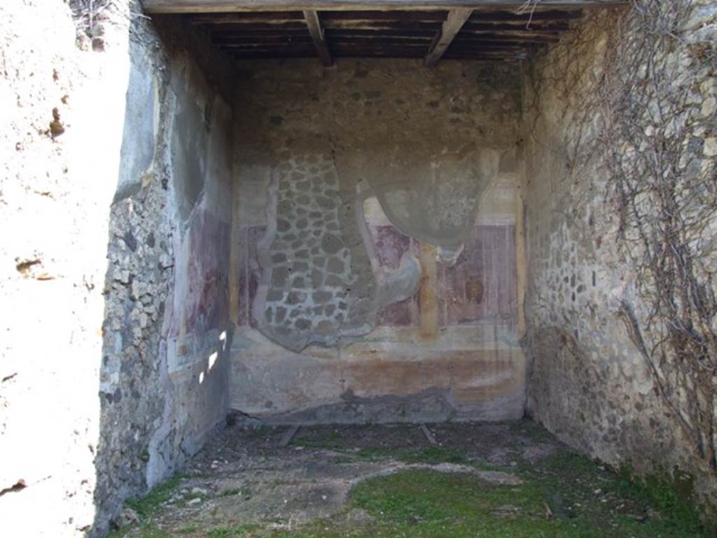 VII.2.16 Pompeii. March 2009. Room 10. Oecus. Decorative Floor.