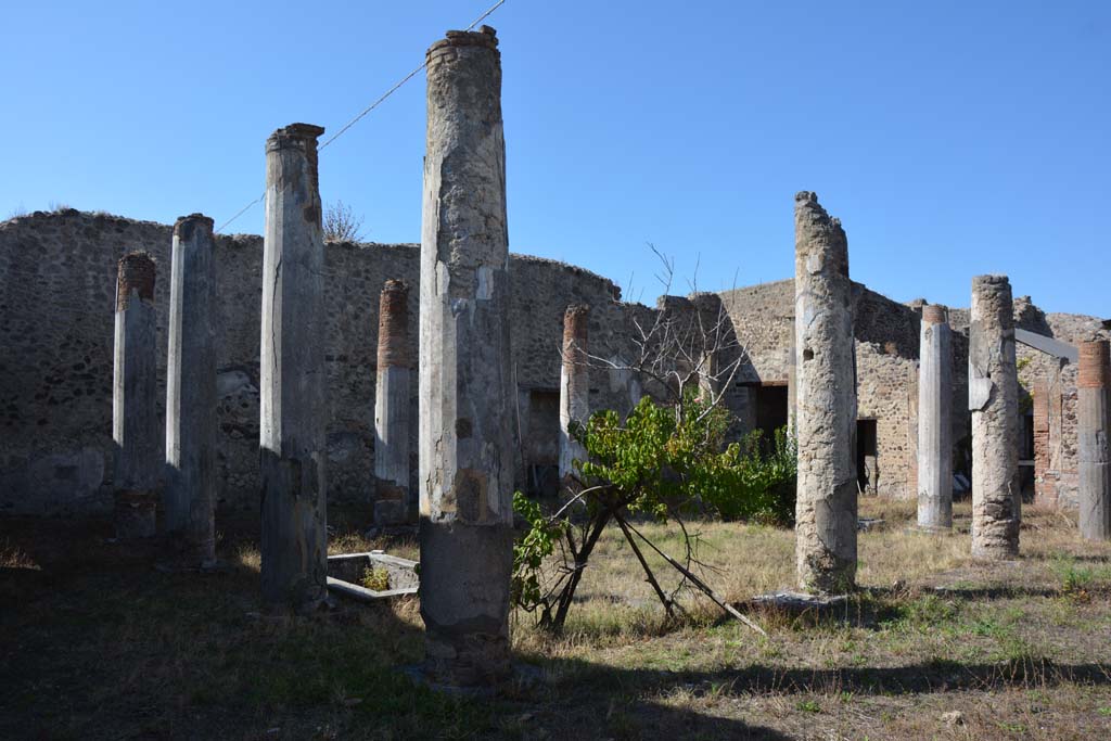 VII.2.16 Pompeii. March 2009. Looking west across south portico.