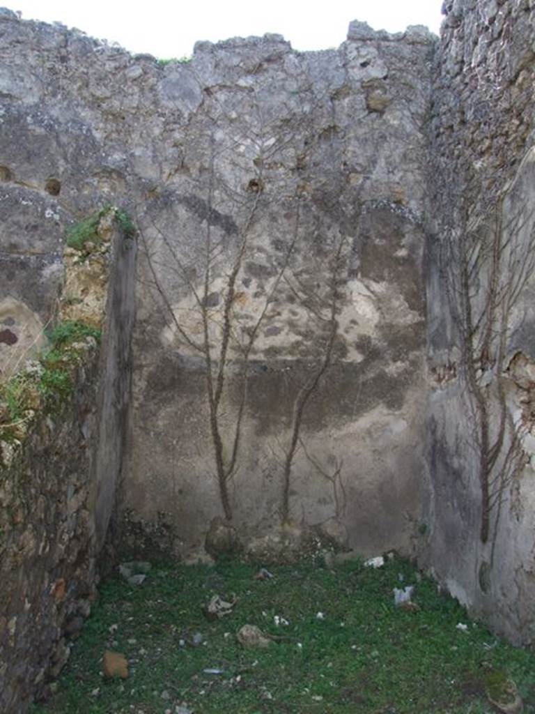 VII.2.16 Pompeii. March 2009. Decorative floor in lararium niche in west wall of portico. According to Boyce, along the west portico there were two large niches, one with wooden doors, the other recess for two large cupboards. On the ground before the one with wooden doors, were found the following bronze statuettes:
Fortuna wearing a turreted crown and holding a cornucopia and rudder.
Minerva wearing a helmet and holding a spear and patera.
Apollo with quiver on his shoulder holding a laurel branch and patera.
A wreathed Lar, standing on a base of lead.
The bust of a female figure from a herm.
Also found were other objects, among them gold earrings, a bronze bracelet, 373 pieces of coral and a small amphora of glass. There seemed to be a discrepancy as to the actual find spot, as Boyce remarks that on page 19 of the Giorn.Scavi, this is given as within the niche fitted with the wooden doors.
On page 26, it says found on the ground before it. Fiorelli agrees with them being found on the ground before the niche.
Giorn.Scavi, N. S., I, 1868, pp.19, 26.
See Boyce G. K., 1937. Corpus of the Lararia of Pompeii. Rome: MAAR 14. (p. 62, no. 251)
See Pappalardo, U., 2001. La Descrizione di Pompei per Giuseppe Fiorelli (1875). Napoli: Massa Editore. (p. 81)
