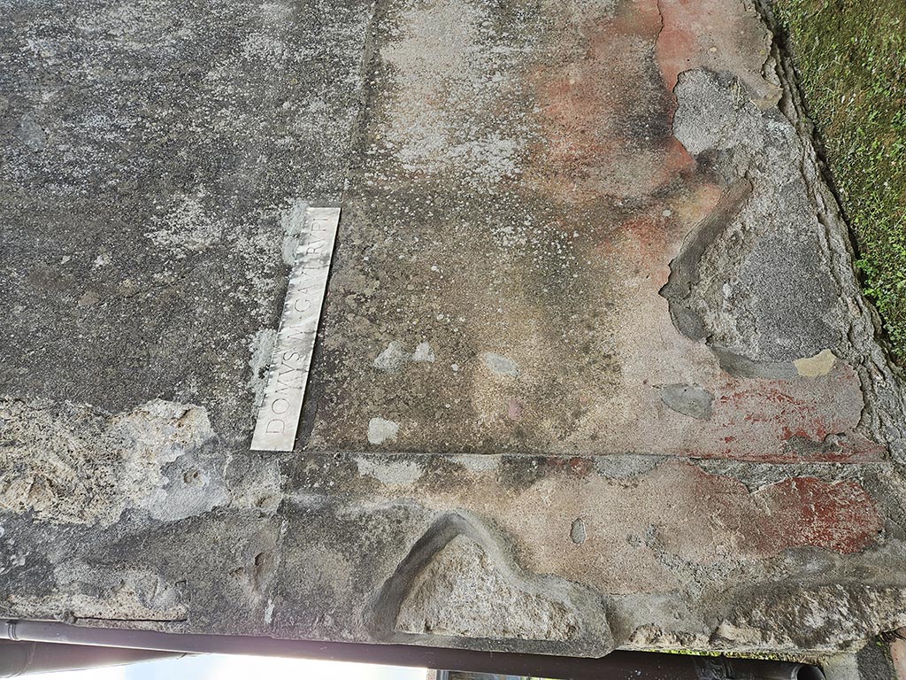 VII.2.16 Pompeii. March 2009. Room 3. Oecus. North wall.