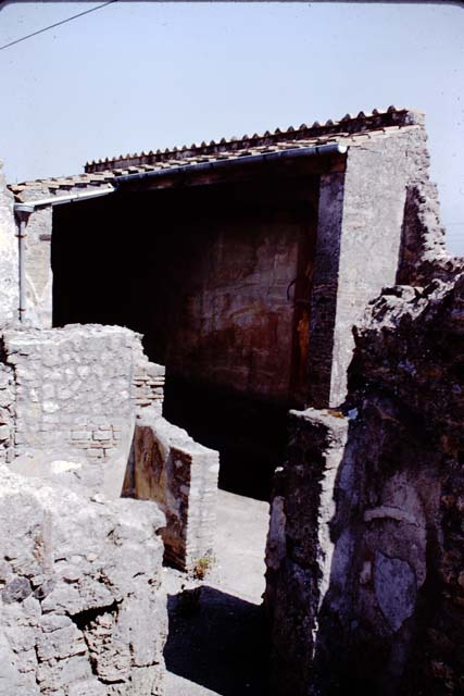 VII.2.25 Pompeii. March 2009. Viridarium, east end. North wall with window, east wall with niche and east end of south wall.