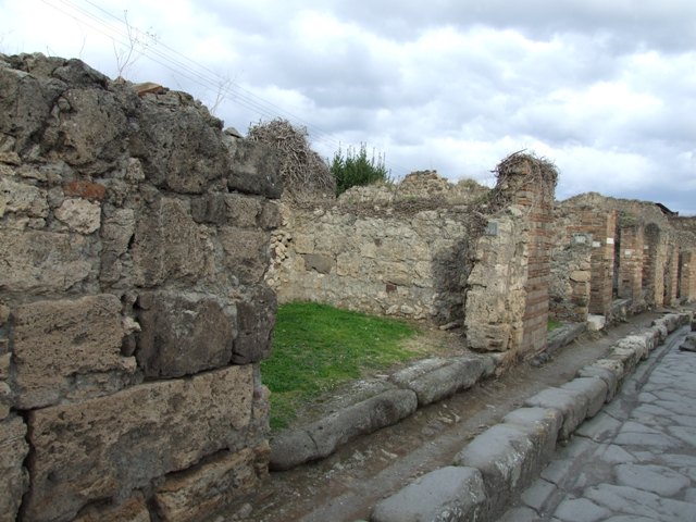 VII.2.36 Pompeii. December 2007. North wall.