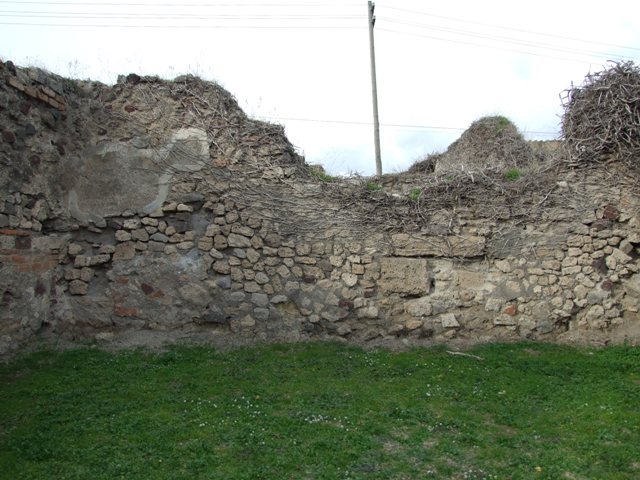 VII.2.36 Pompeii. December 2007. East wall.