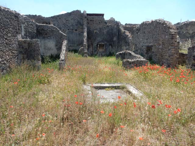 VII.3.6 Pompeii. September 2005. South wall of garden.