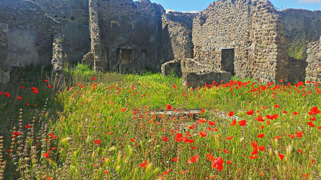 VII.3.6 Pompeii. 2016/2017.
Looking south-west across atrium through tablinum to garden at rear. Photo courtesy of Giuseppe Ciaramella.