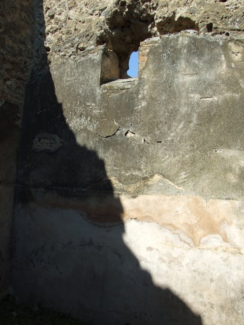 VII.3.29 Pompeii.  March 2009. Room 6. Tablinum. Looking north.