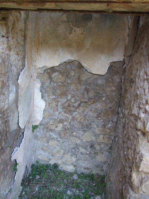 VII.3.29 Pompeii.  March 2009.  Room 8.  West wall, north end of stairs.