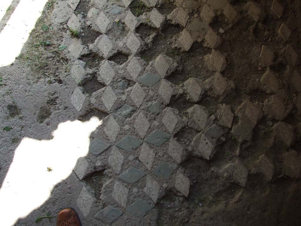 VII.3.29 Pompeii. March 2009. Room 10. Cubiculum. Floor.