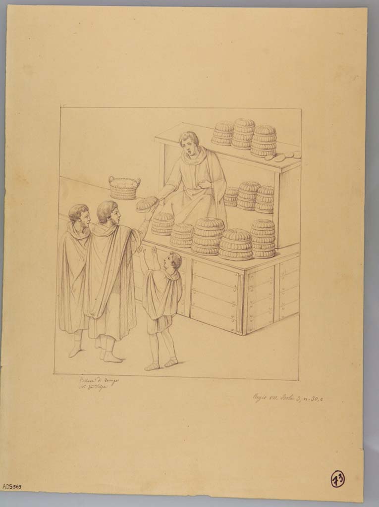 VII.3.30 Pompeii. Drawing by Nicola La Volpe, of painting found in the tablinum (and taken to Naples Museum, inventory number 9071).
Now in Naples Archaeological Museum. Inventory number ADS 569.
Photo © ICCD. http://www.catalogo.beniculturali.it
Utilizzabili alle condizioni della licenza Attribuzione - Non commerciale - Condividi allo stesso modo 2.5 Italia (CC BY-NC-SA 2.5 IT)