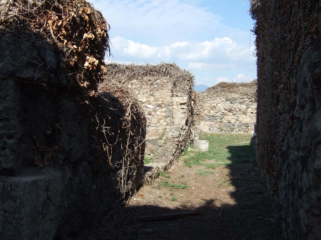 VII.3.38 Pompeii. December 2005. Impluvium in atrium.