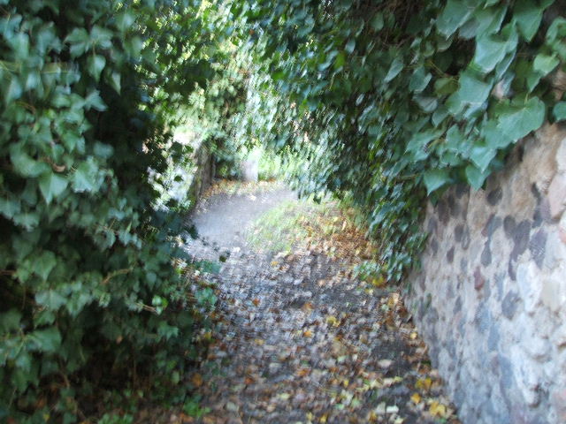 VII.3.38 Pompeii. December 2005. Doorway to triclinium or workshop.