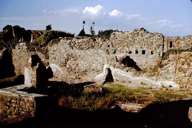 VII.3.38 Pompeii. December 2004. South wall of atrium.