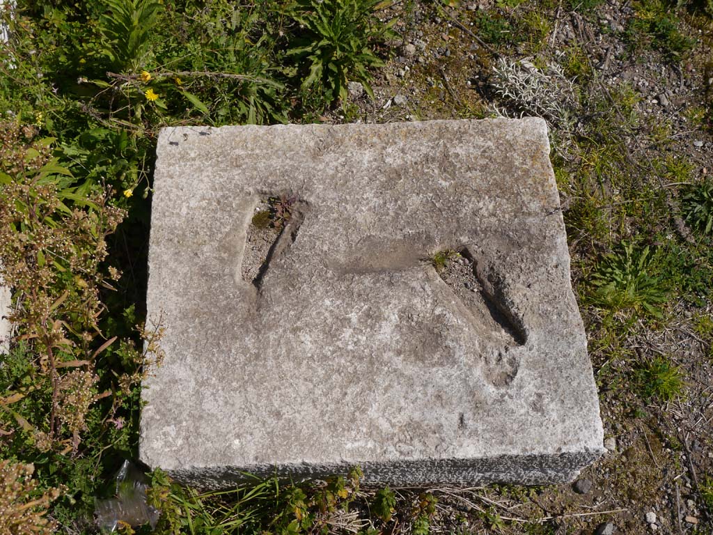 VII.4.2, Pompeii. March 2019. Detail of square block from VII.4.2, near north wall.
Foto Anne Kleineberg, ERC Grant 681269 DÉCOR.
