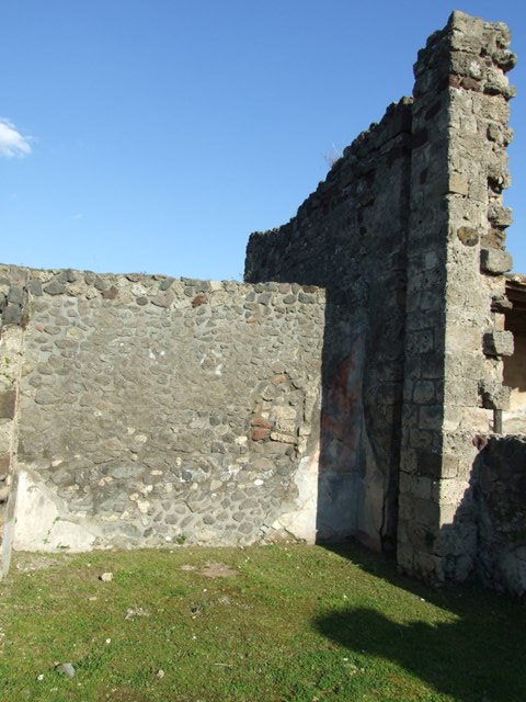 VII.4.31 Pompeii.  March 2009.  Room 24.  Step, inside the doorway.