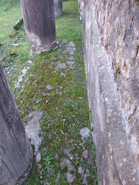 VII.4.31 Pompeii.  March 2009.  Middle Peristyle.  Remains of blue walls in the fish pool.

