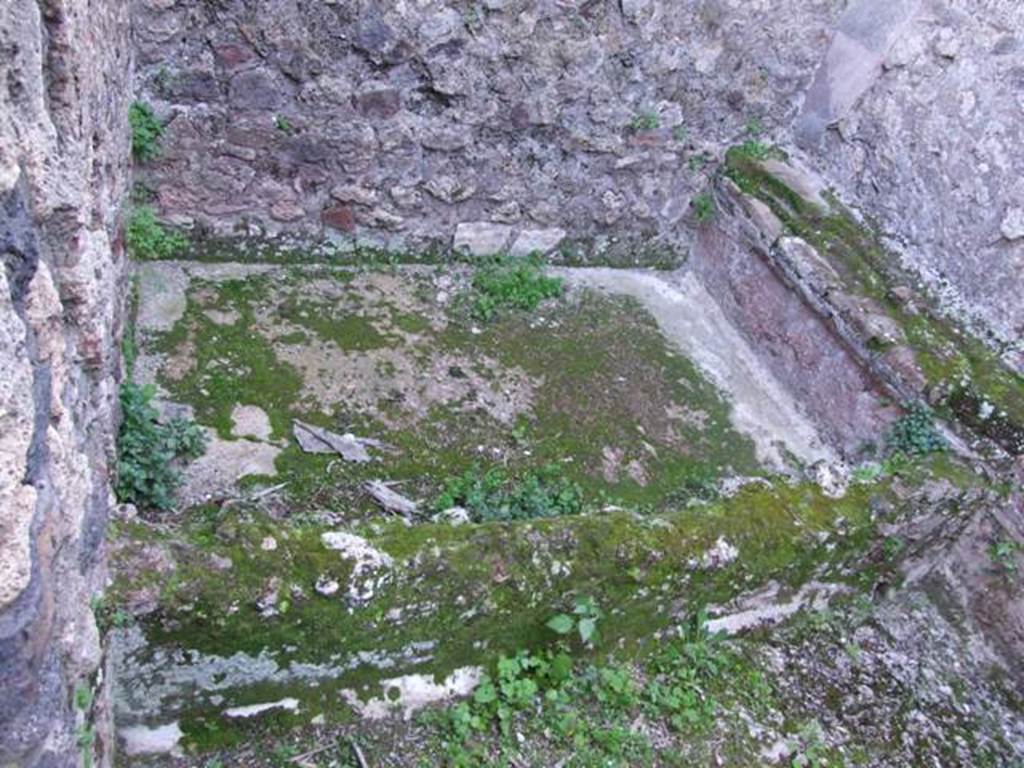 VII.4.31 Pompeii.  March 2009. Room 33.  Upper West wall.