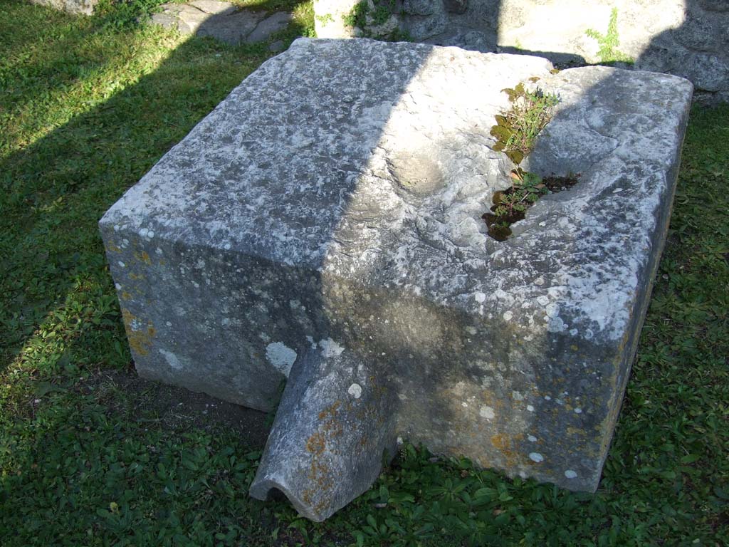 VII.4.31/51 Pompeii. March 2009. North peristyle, east portico. Remains of an olive press.
It is not clear whether it now stands exactly where the original excavators found it, but so massive a block is unlikely to have been moved any great distance.
See Descoeudres J-P., Ed., 1994. Pompeii Revisited: The life and death of a Roman town. Sydney: Meditarch, p. 135.