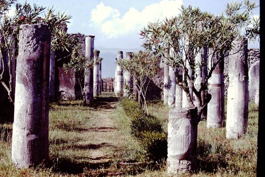 VII.4.31/51 Pompeii, 1978. Looking south across the third (north) peristyle, towards the main entrance at VII.4.31. Photo by Stanley A. Jashemski.
Source: The Wilhelmina and Stanley A. Jashemski archive in the University of Maryland Library, Special Collections (See collection page) and made available under the Creative Commons Attribution-Non Commercial License v.4. See Licence and use details. J78f0083