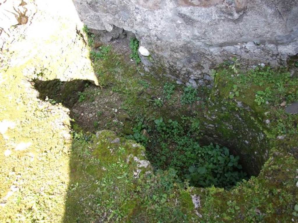 VII.4.31 Pompeii. March 2009. Room 9. Cubiculum. Underneath floor near east wall and north-east corner.