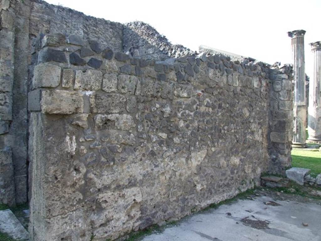 VII.4.31 Pompeii. March 2009. Room 10. Tablinum. West wall. Looking north.