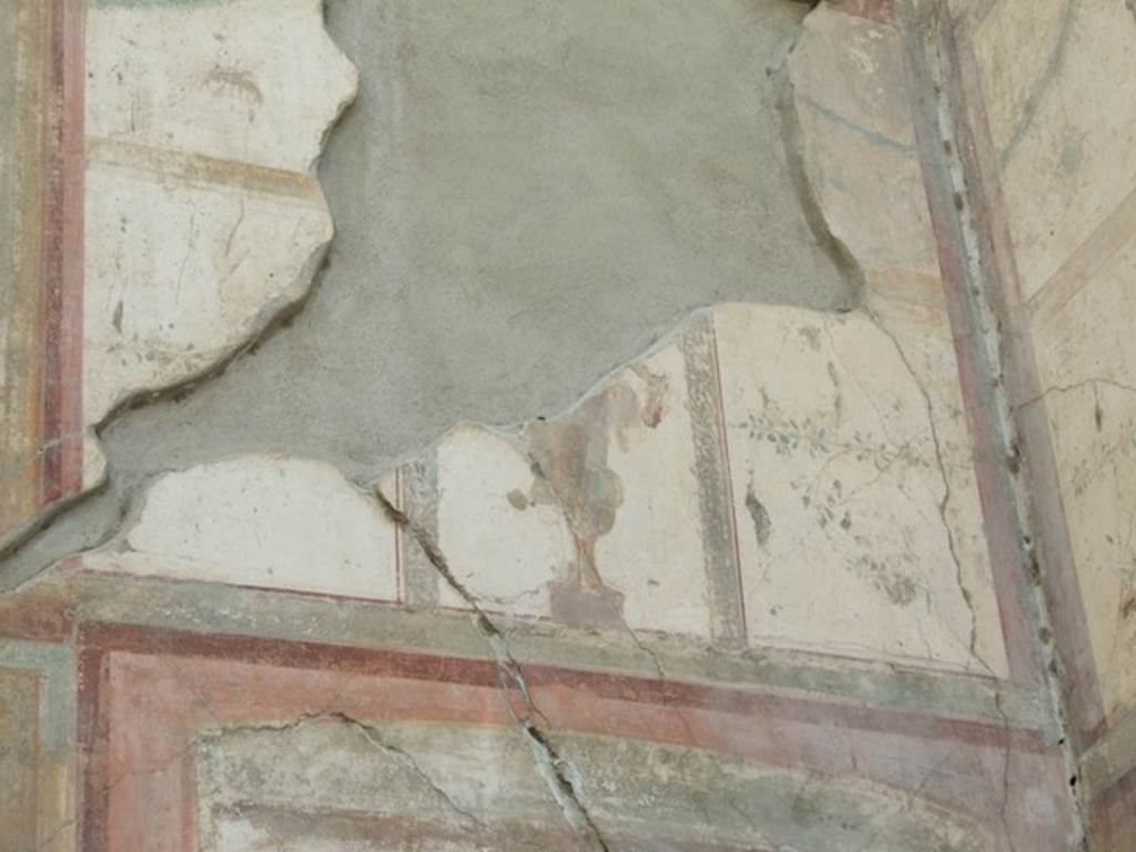 VII.4.31 Pompeii. March 2009. Room 12. Oecus. South wall