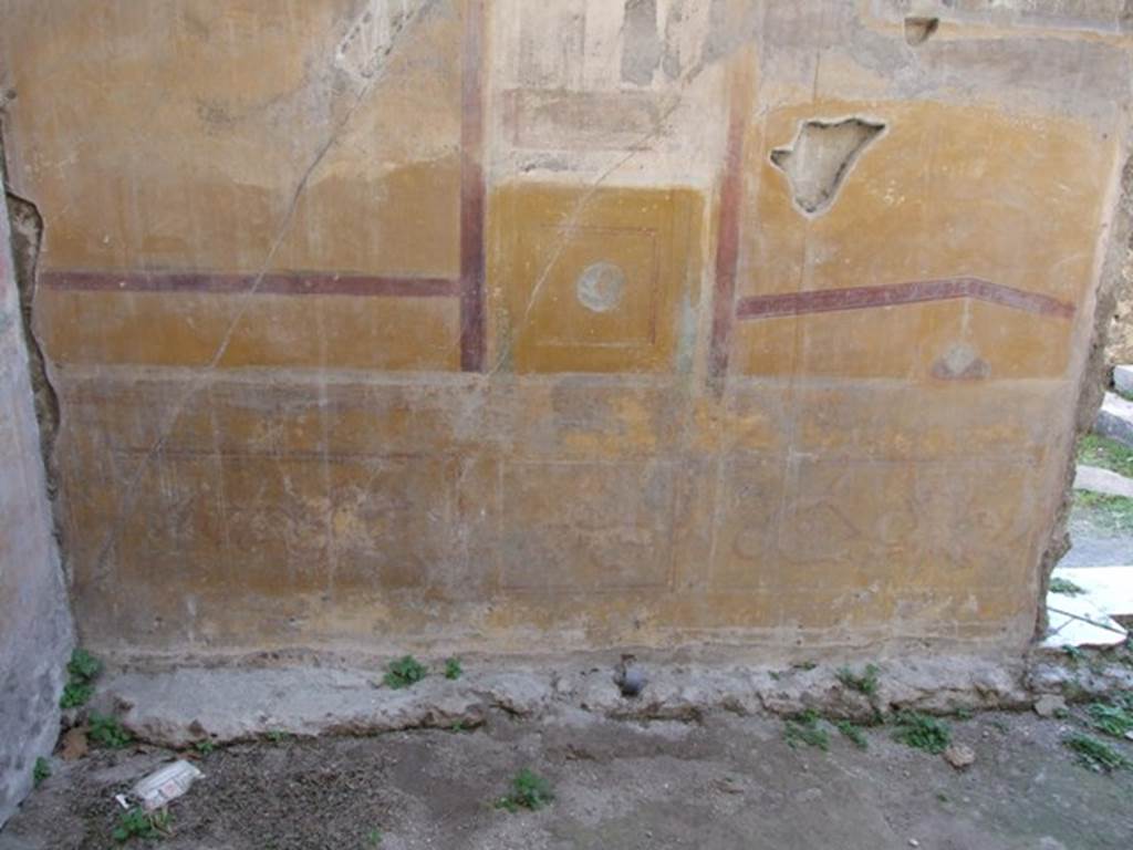 VII.4.31 Pompeii. March 2009. Room 12. Oecus. Lower West wall.