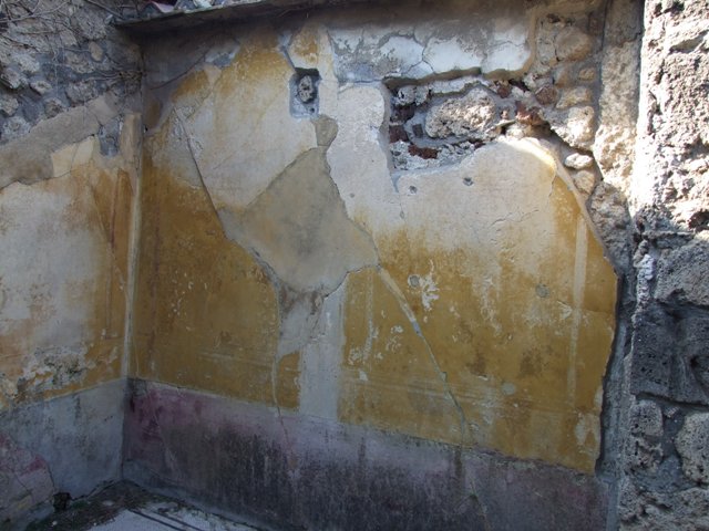 VII.4.31 Pompeii. March 2009. Room 12. Oecus. North Wall.