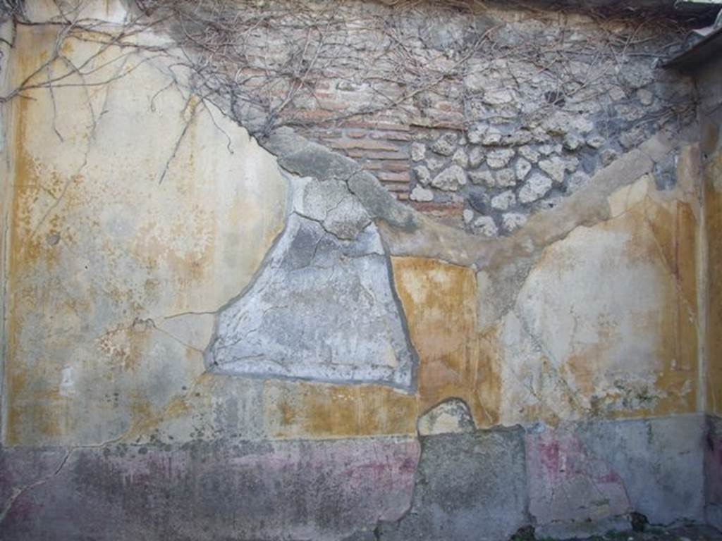 VII.4.31 Pompeii. March 2009. Room 15. West wall.