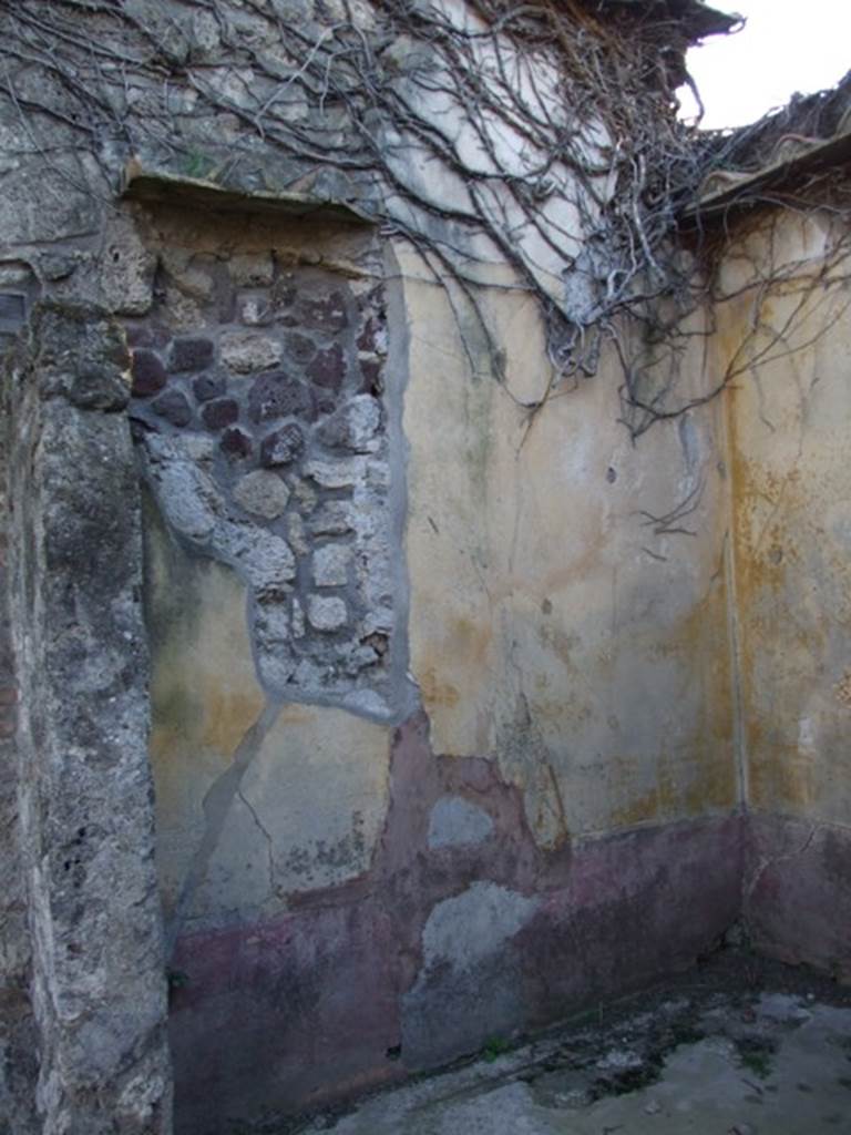 VII.4.31 Pompeii. March 2009. Room 15. South wall.
