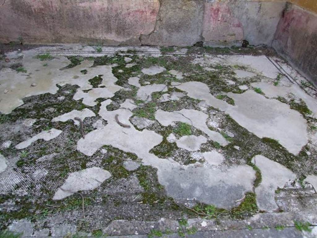 VII.4.31 Pompeii. March 2009. Room 15. White mosaic floor, with border of two black lines.
