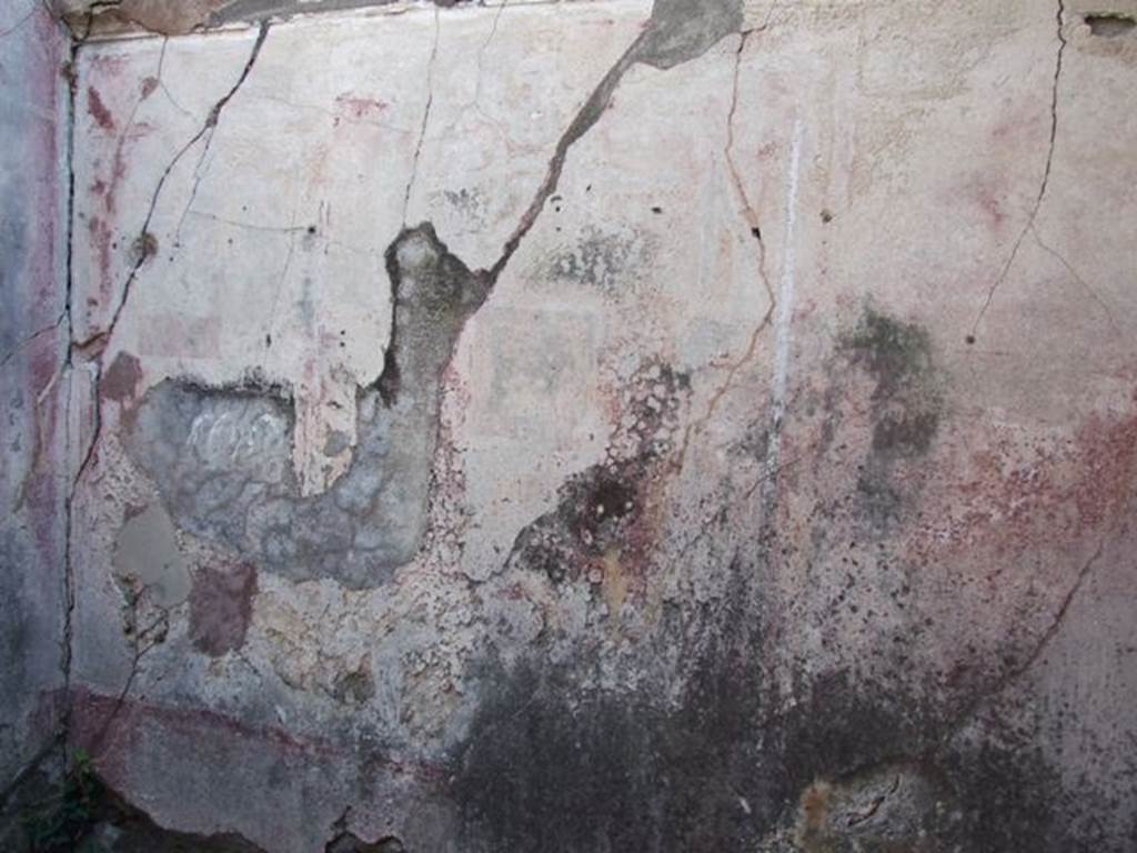 VII.4.31 Pompeii. March 2009. Room 16. South wall.