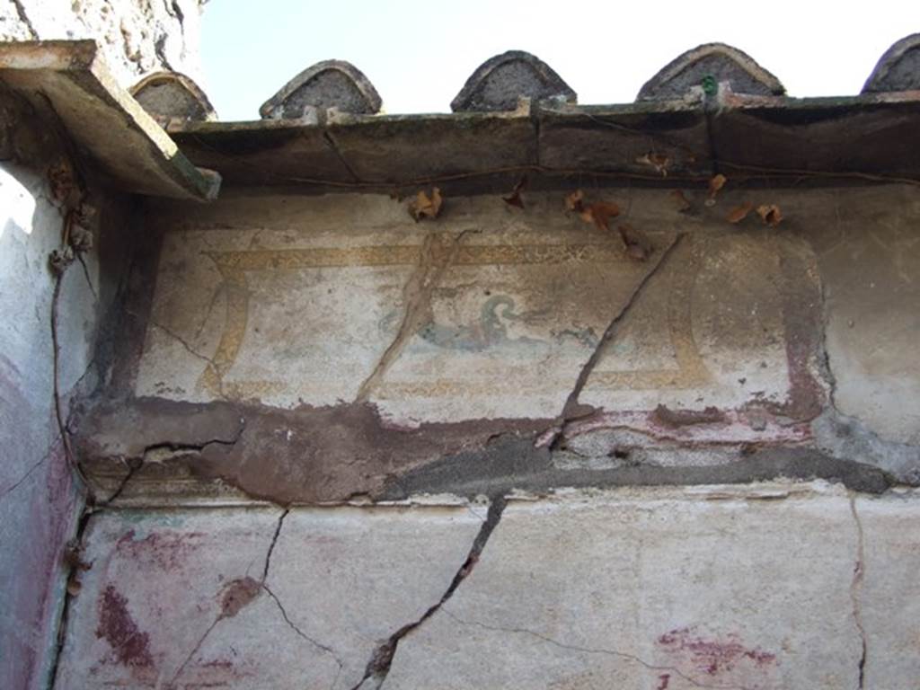 VII.4.31 Pompeii. March 2009. Room 16. Upper wall in south east corner. Painted decoration.