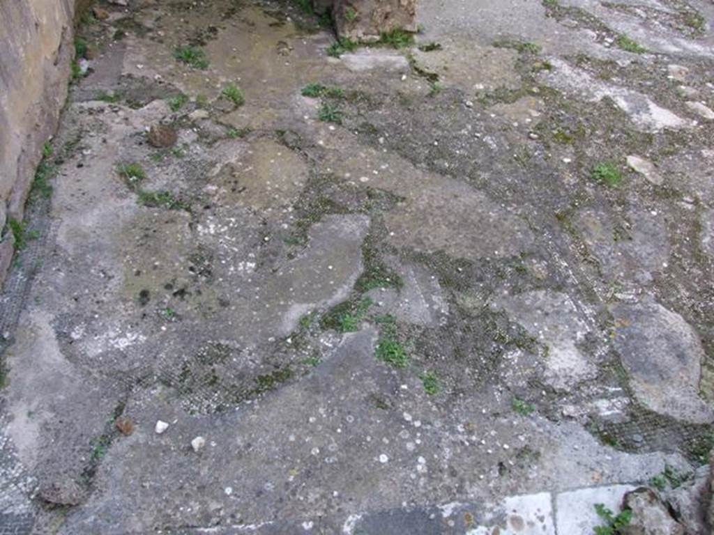 VII.4.31 Pompeii. March 2009. Rooms 19 and 20. Remains of mosaic floor.