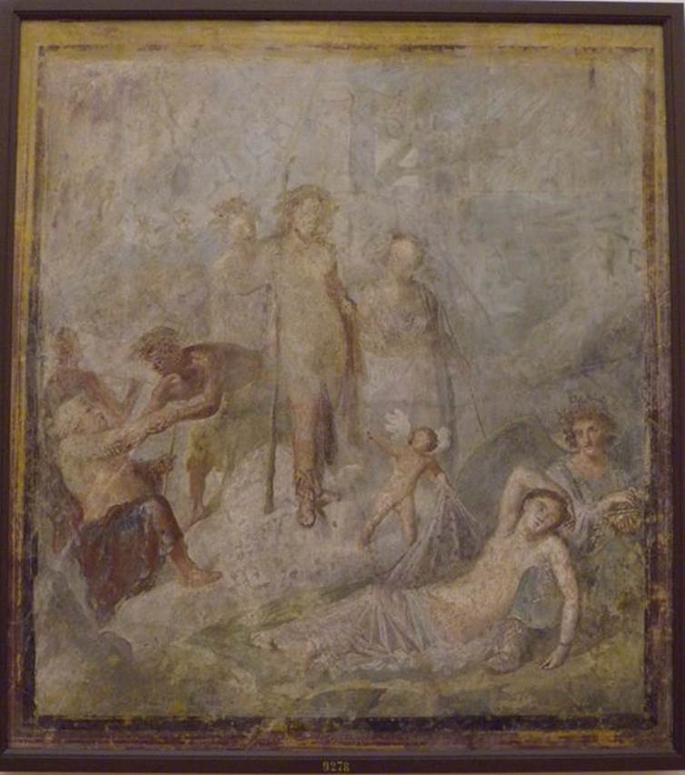 VII.4.31/51 Pompeii. Room 20, west wall of oecus.
Wall painting of Dionysus discovering the sleeping Ariadne on the island of Naxos.
Dionysus stands in the centre holding a thyrsus and with a look of wonderment on his face.
Ariadne sleeps at the knees of Hypnos.
A cupid draws back part of the robe covering Ariadne and points.
An old Silenus supports himself with a staff and is being helped by one of the procession of satyrs and maenads.
See Helbig, W., 1868. Wandgemälde der vom Vesuv verschütteten Städte Campaniens. Leipzig: Breitkopf und Härtel. (1237).
Now in Naples Archaeological Museum. Inventory number 9278.
Kuivalainen comments –
“The composition is divided into three events, from the awakening Ariadne to an admiring Bacchus and to old Silenus trying to get up to share in the scene.”
See Kuivalainen, I., 2021. The Portrayal of Pompeian Bacchus. Commentationes Humanarum Litterarum 140. Helsinki: Finnish Society of Sciences and Letters, p.149, E11.